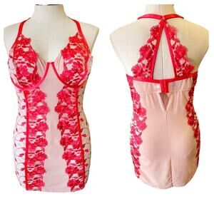 Torrid 3 (3X 22/24) New‎ Sexy Pink Underwire Embroidered Mesh Chemise Lingerie